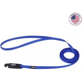 Coastal Pet Lil Pals Dog Leash with EZ Snap Blue