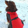 Alpine All-Weather Dog Coat