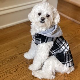 Weekender Dog Sweatshirt Hoodie (Color: Black & White Plaid Flannel, size: X-Small)